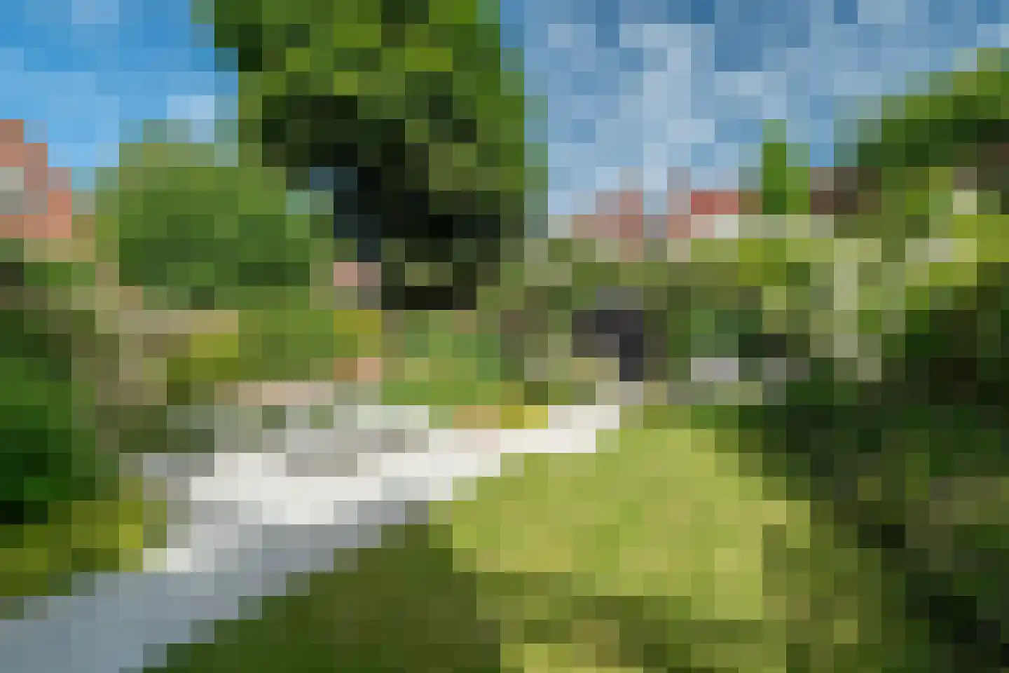 Kraneweg 39 Groningen thumbnail 8