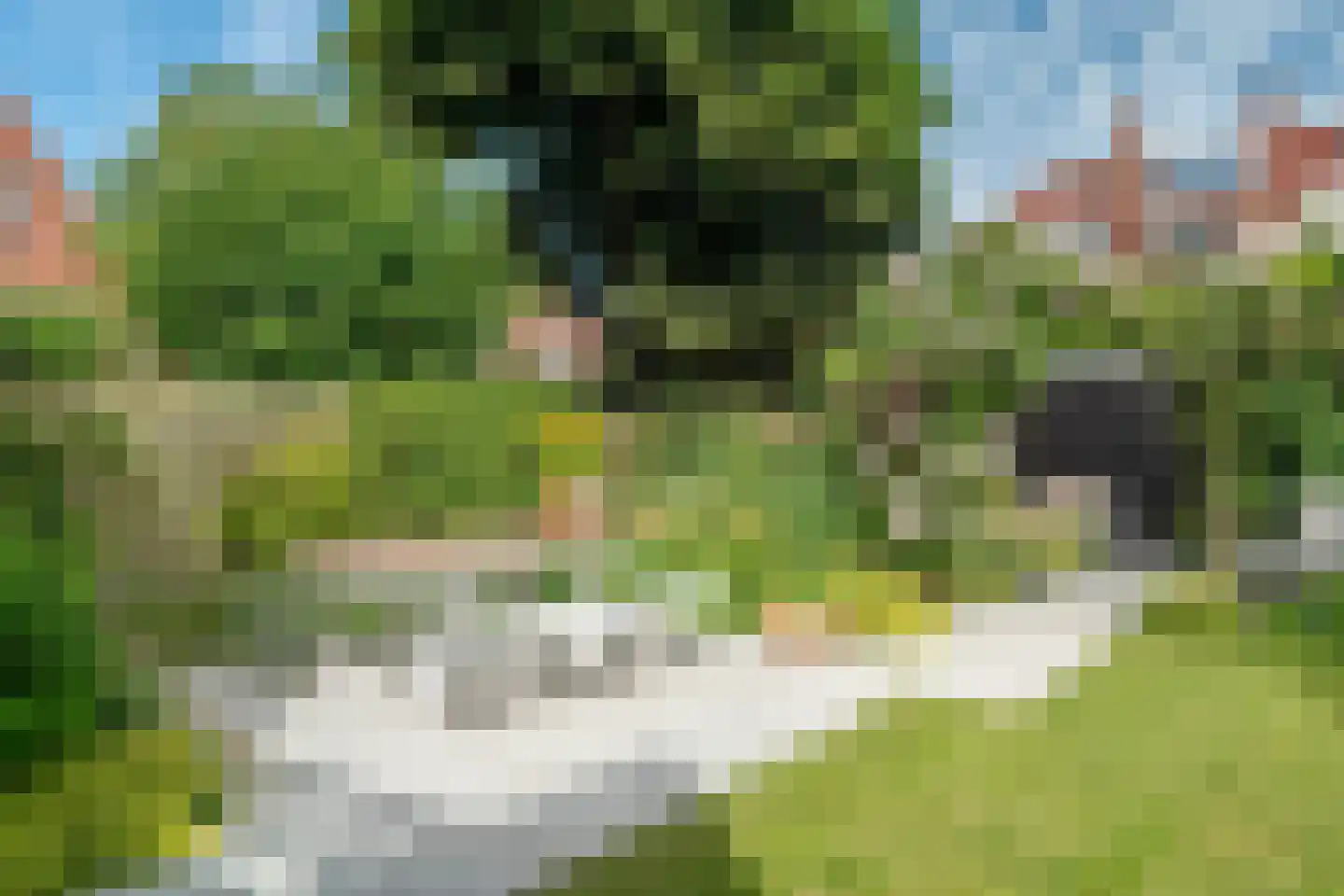 Kraneweg 39 Groningen thumbnail 80