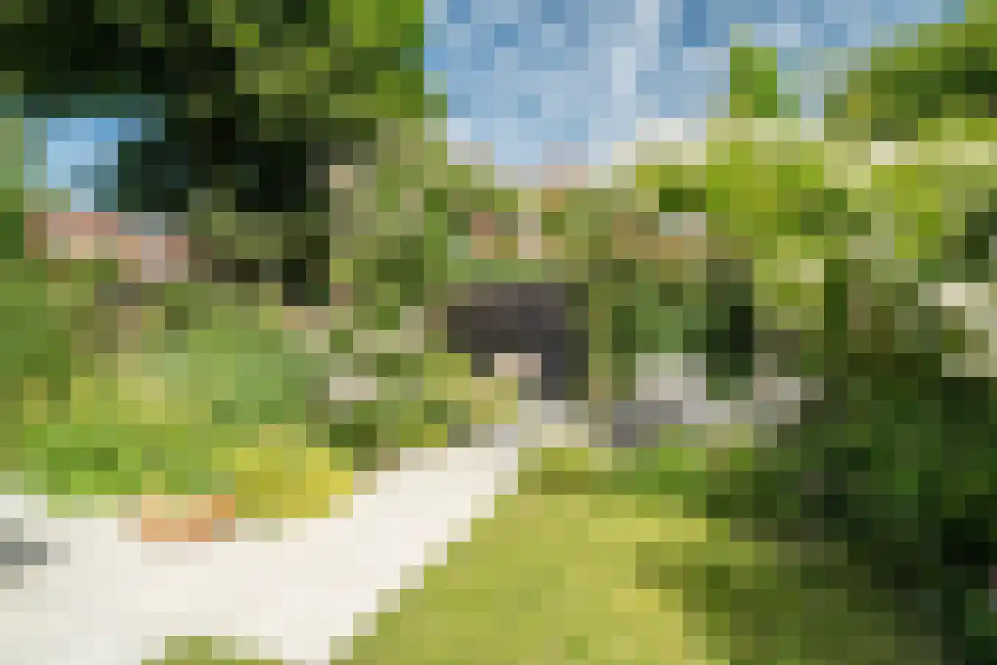 Kraneweg 39 Groningen thumbnail 82