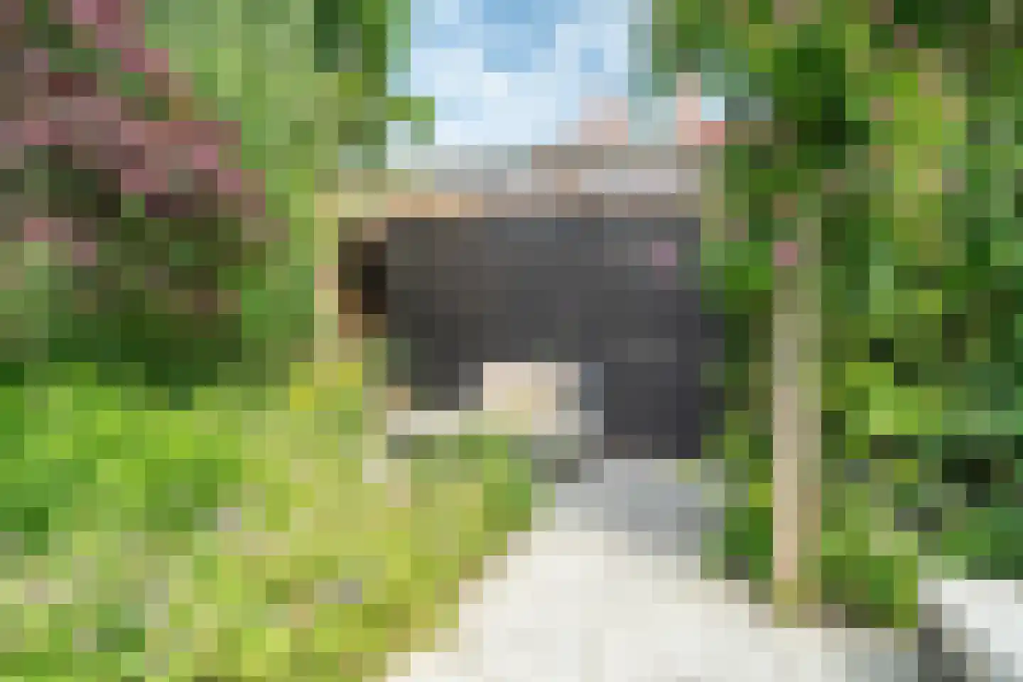 Kraneweg 39 Groningen thumbnail 87