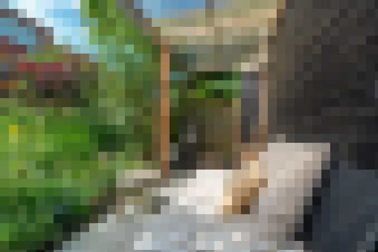 Kraneweg 39 Groningen thumbnail 88