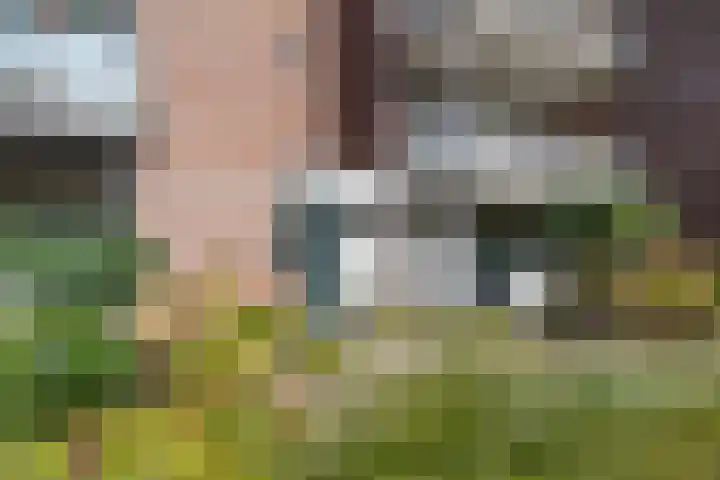 Kraneweg 5 14 Groningen thumbnail 4