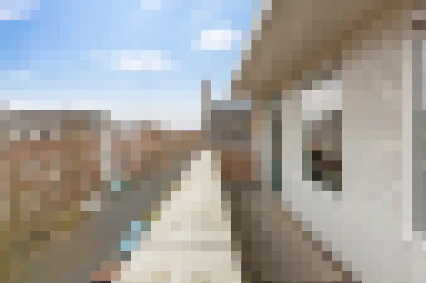 Kraneweg 7 1 Groningen thumbnail 30