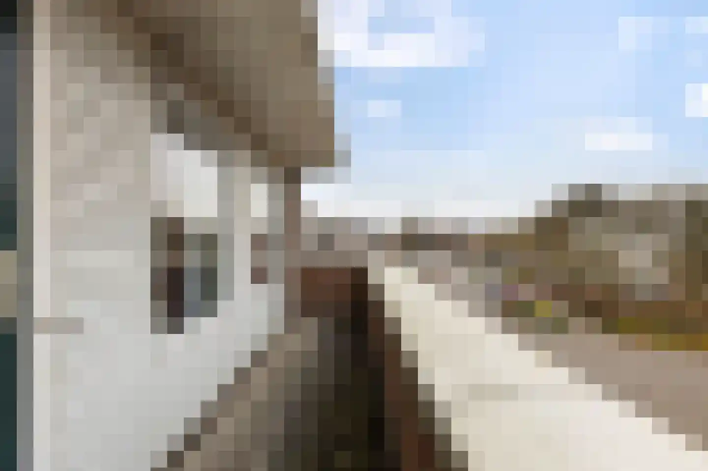 Kraneweg 7 1 Groningen thumbnail 31