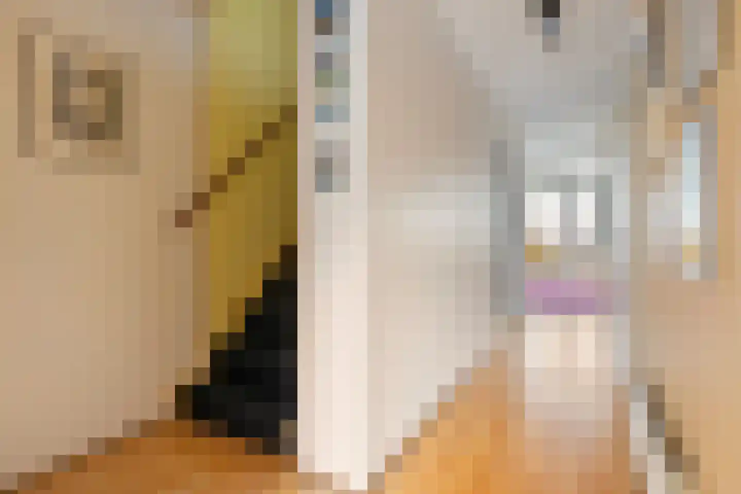 Kraneweg 7 1 Groningen thumbnail 7