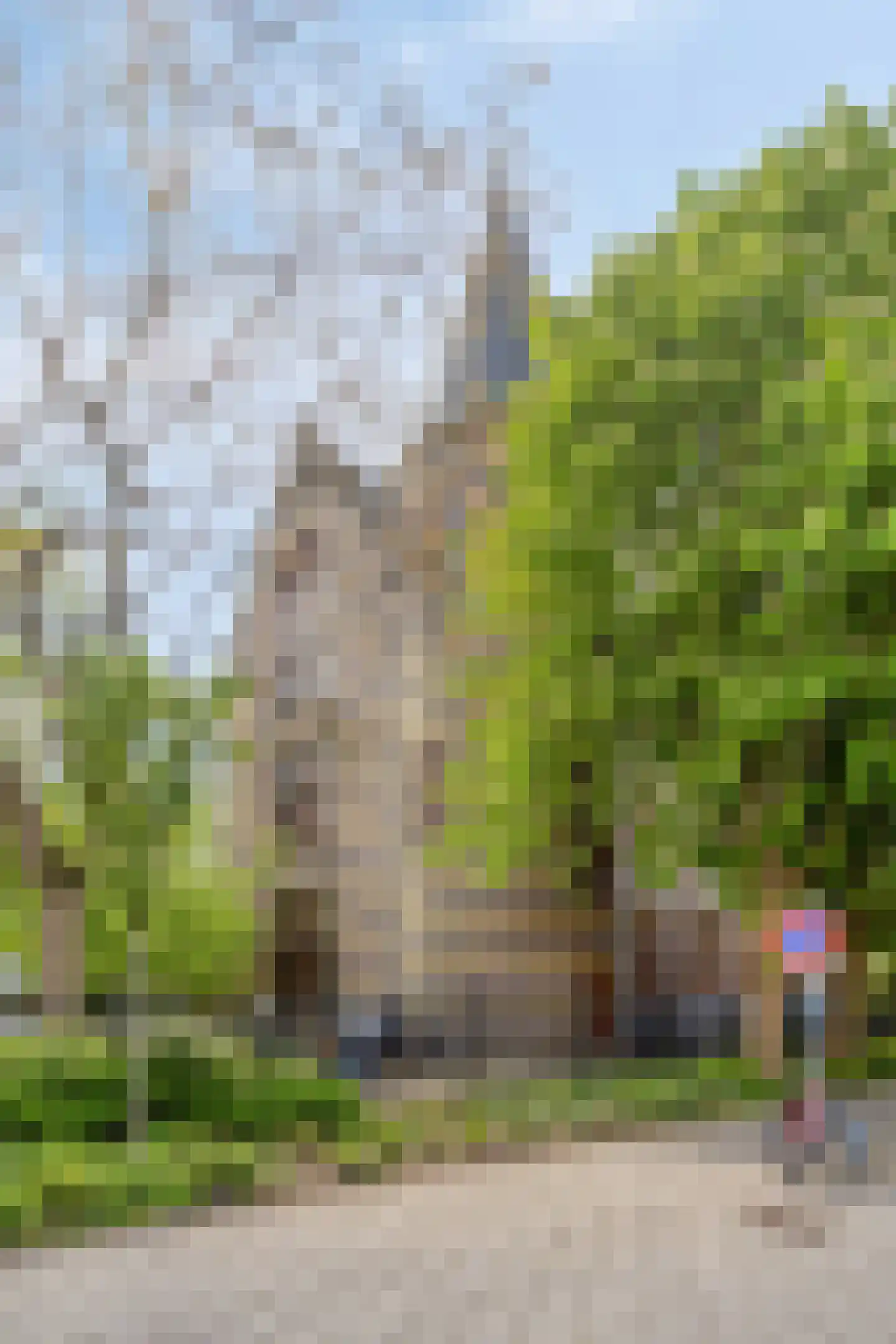 Kraneweg 8 a Groningen thumbnail 32