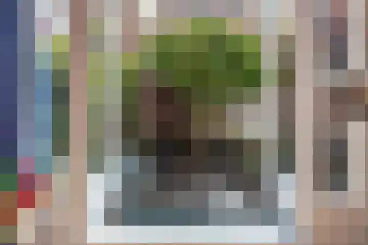 Kraneweg 8 Groningen thumbnail 15