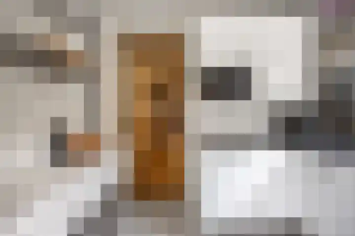 Kraneweg 8 Groningen thumbnail 20