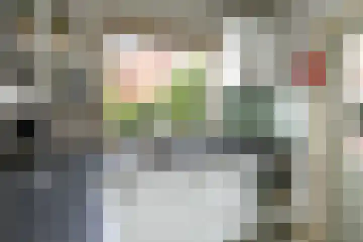 Kraneweg 8 Groningen thumbnail 21