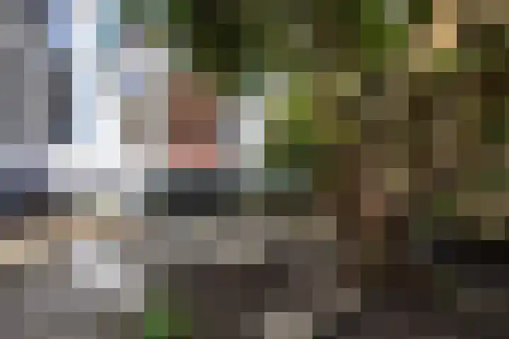 Kraneweg 8 Groningen thumbnail 24
