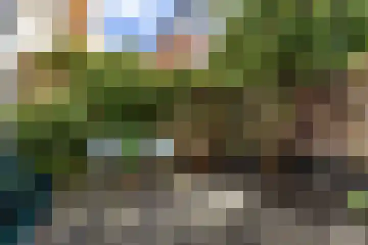 Kraneweg 8 Groningen thumbnail 27