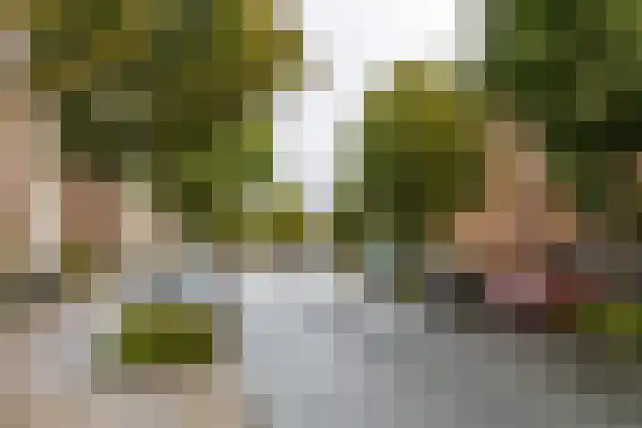 Kraneweg 8 Groningen thumbnail 33