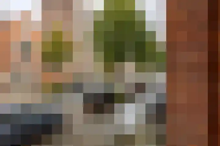 Kraneweg 8 Groningen thumbnail 34