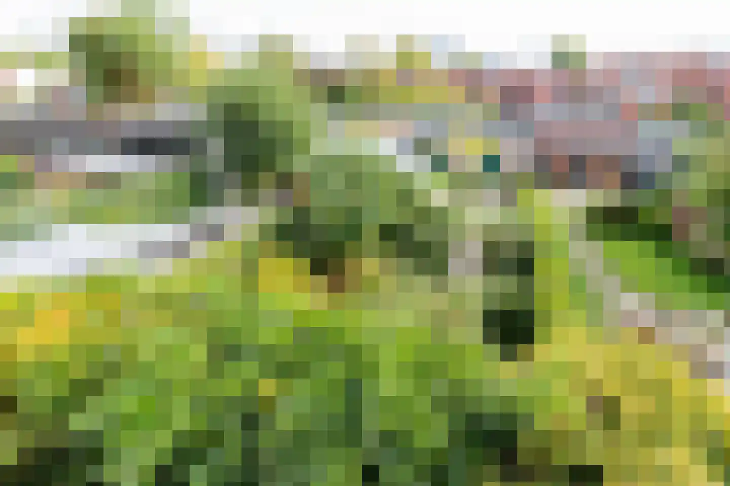 Kraneweg 80 Groningen thumbnail 10