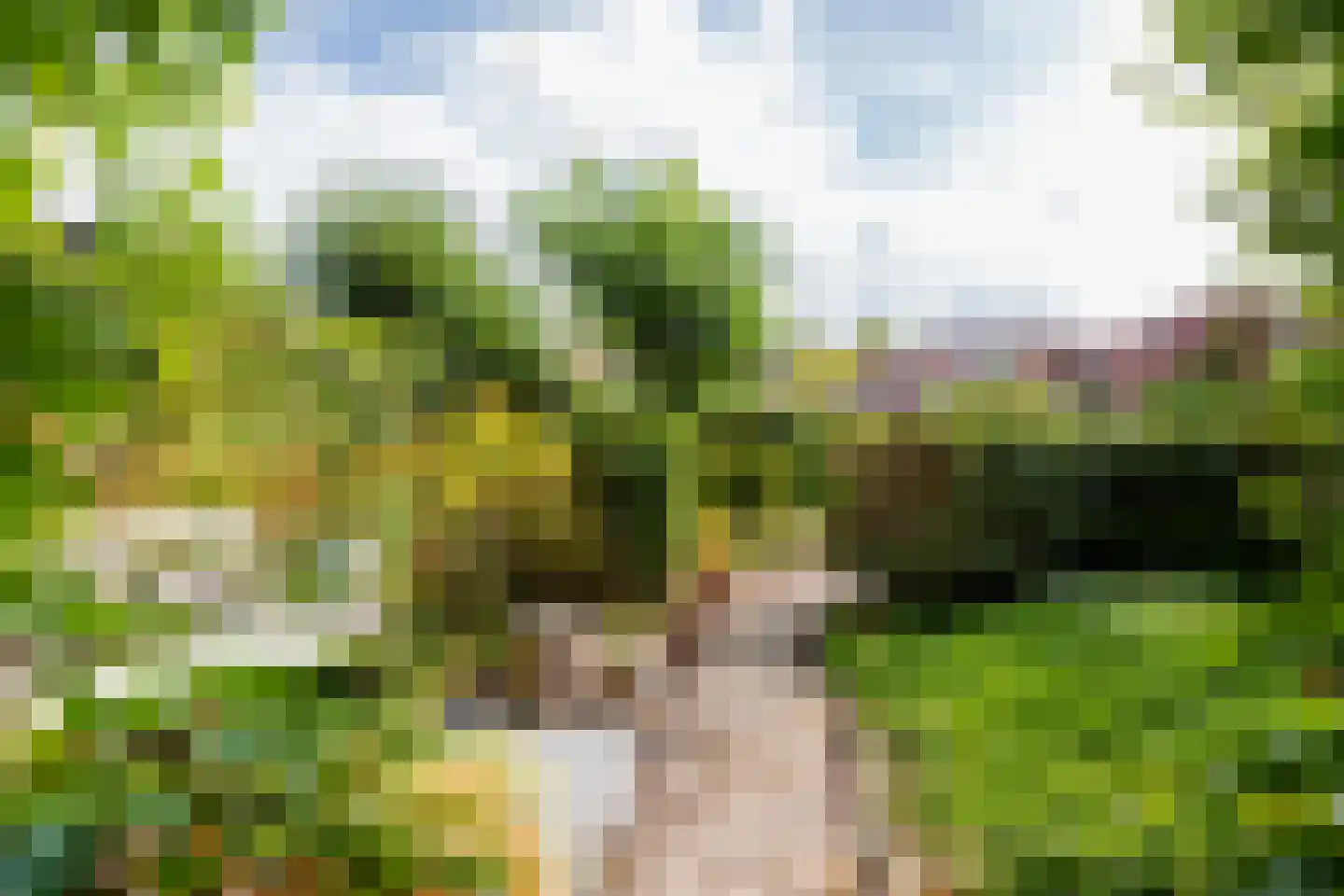 Kraneweg 80 Groningen thumbnail 11