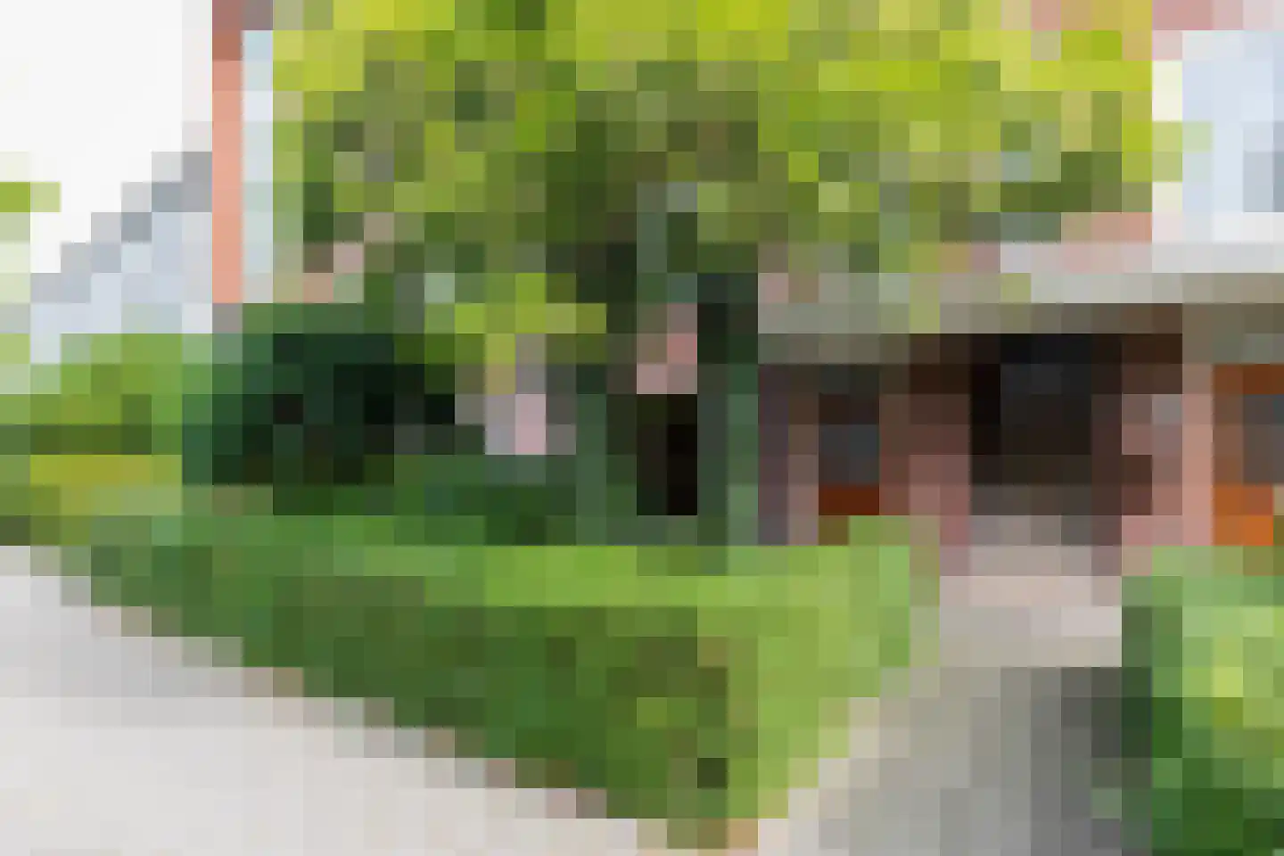 Kraneweg 80 Groningen thumbnail 16