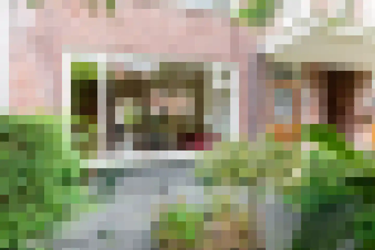Kraneweg 80 Groningen thumbnail 17