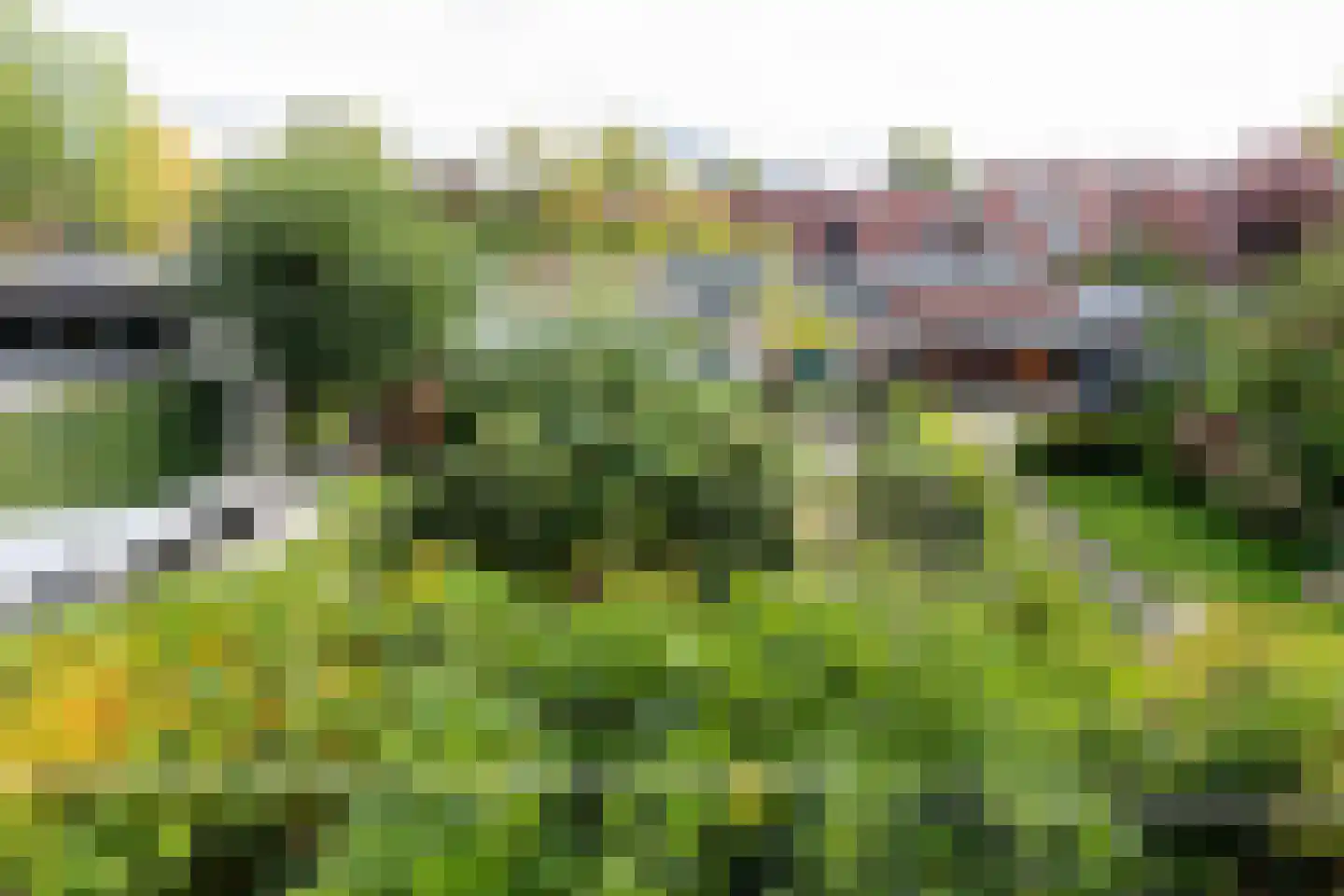 Kraneweg 80 Groningen thumbnail 38