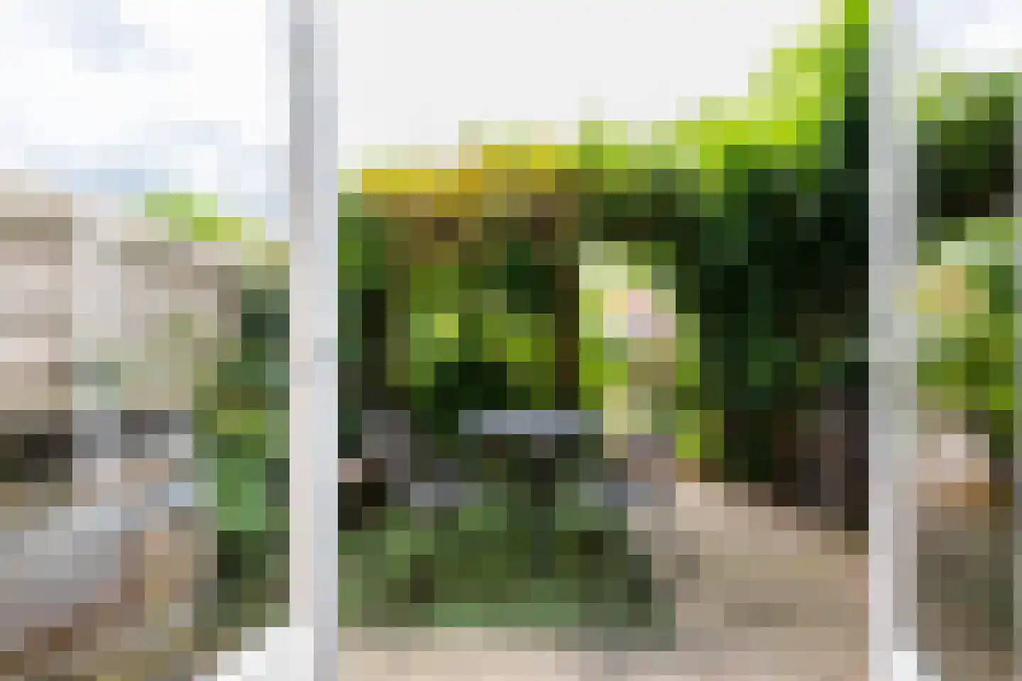 Kraneweg 80 Groningen thumbnail 4