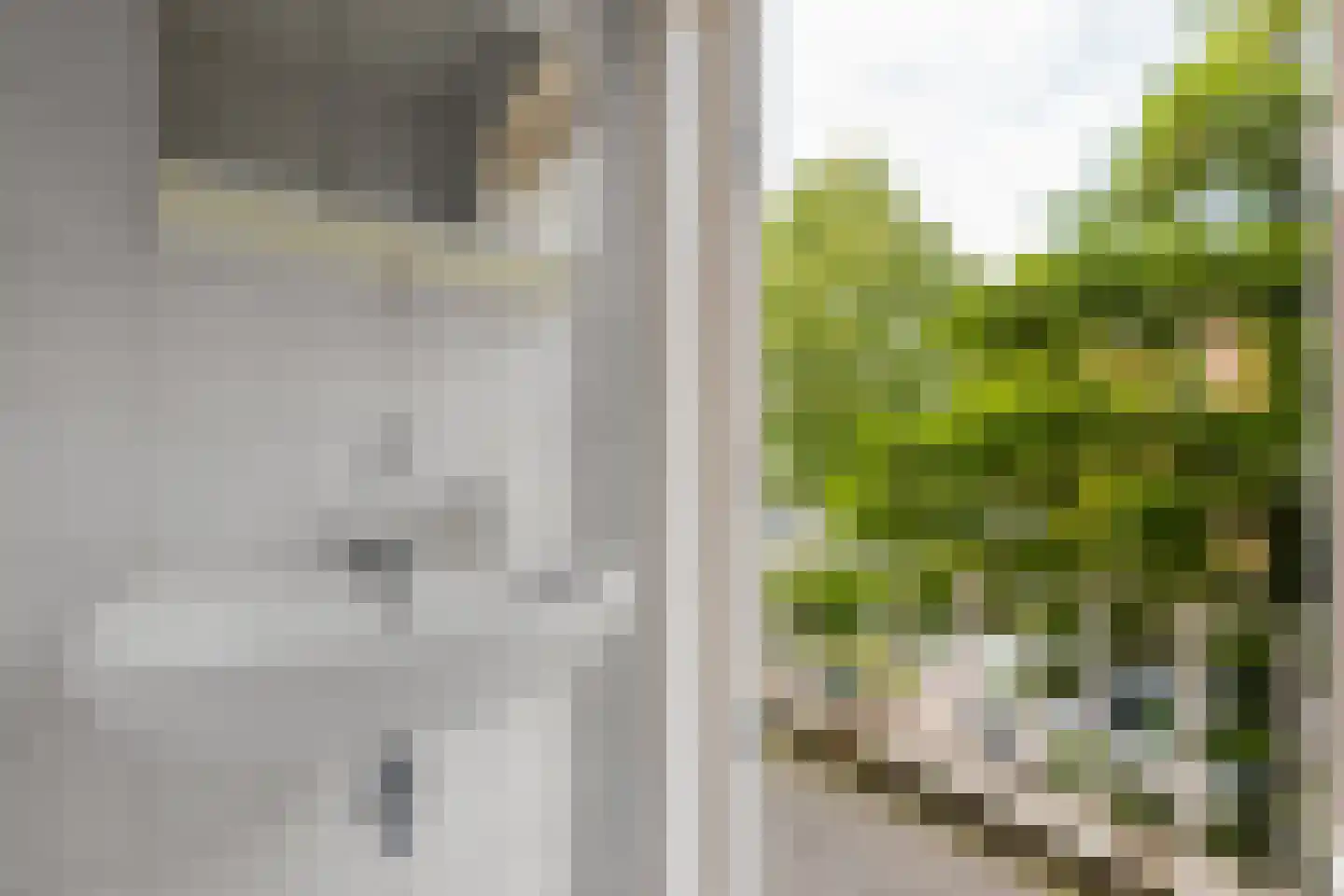 Kraneweg 80 Groningen thumbnail 47