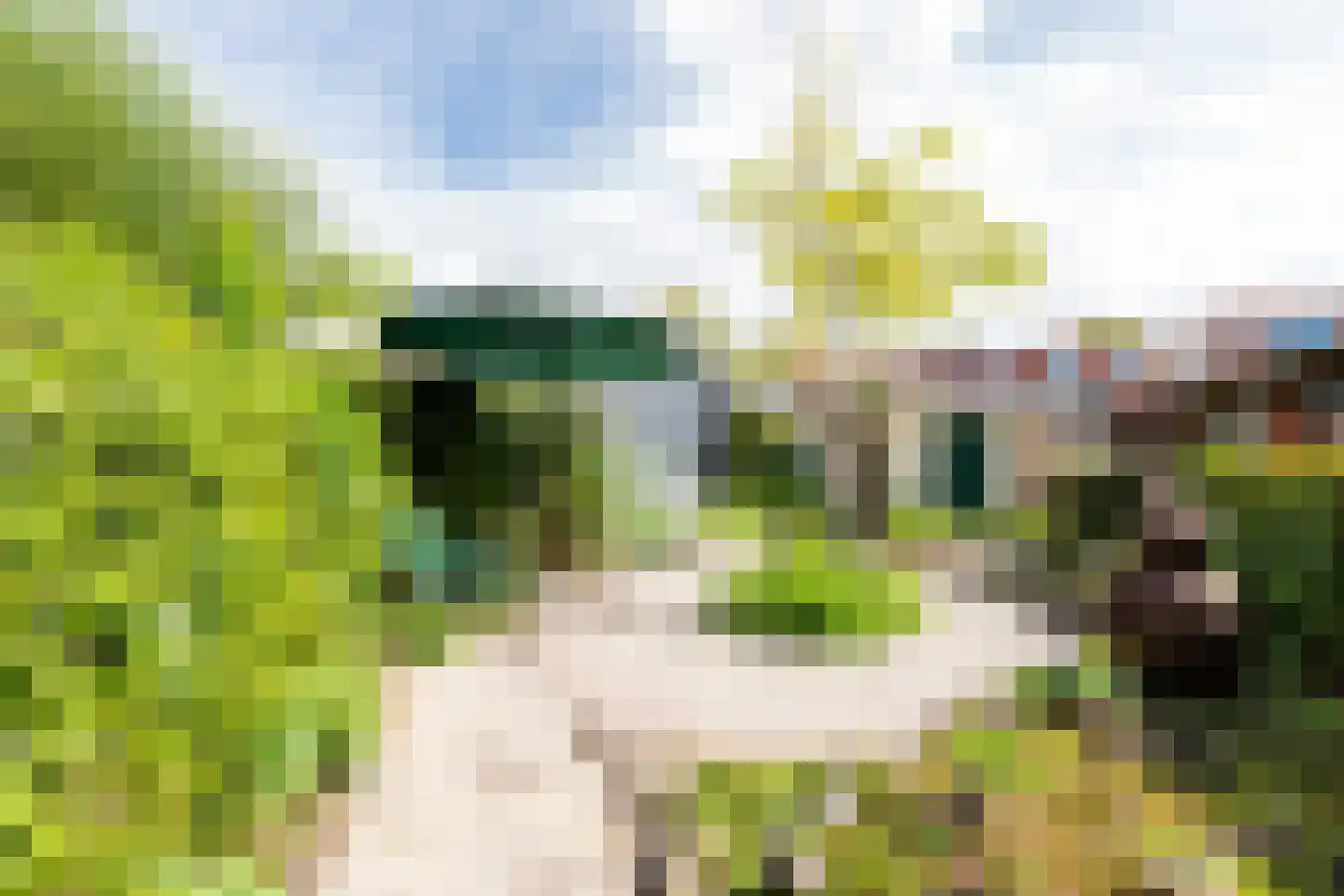 Kraneweg 80 Groningen thumbnail 49