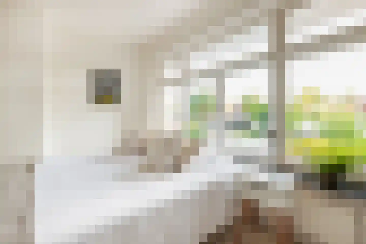 Kraneweg 80 Groningen thumbnail 8