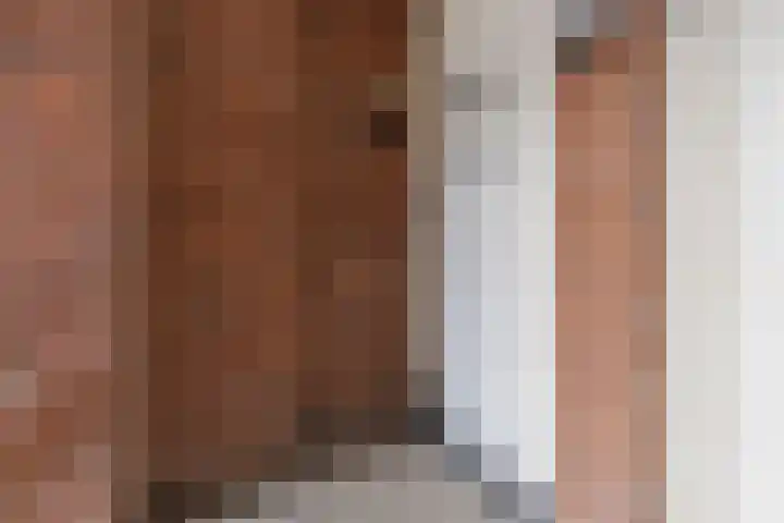 Kraneweg 88 a Groningen thumbnail 7