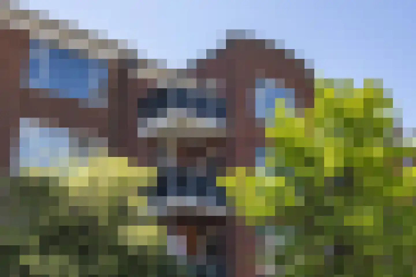 Kraneweg 98 Groningen thumbnail 4