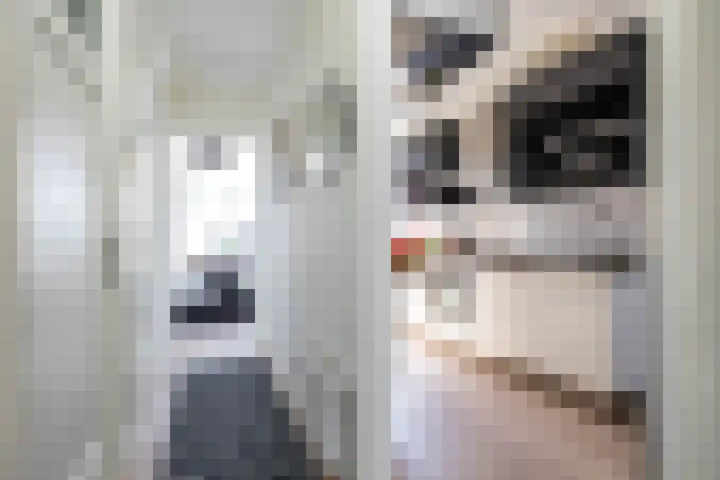 Kraneweg 98 Groningen thumbnail 8