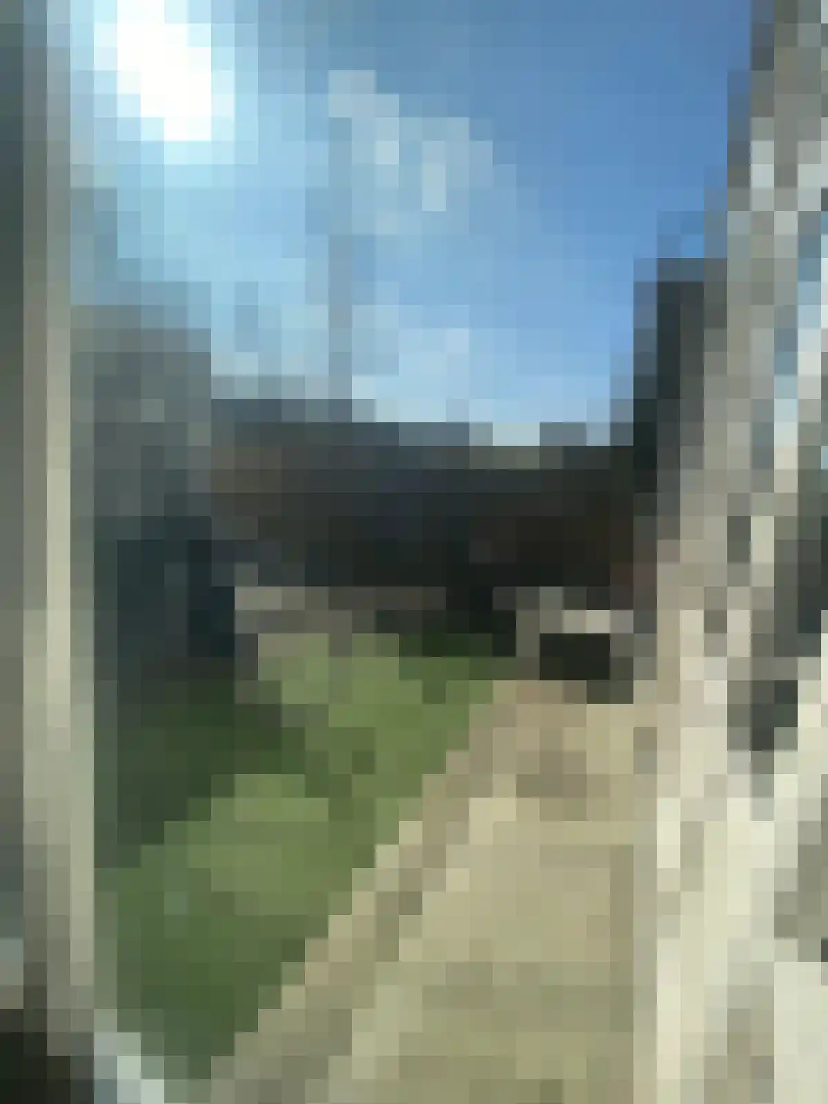 Kraneweg Groningen thumbnail 4