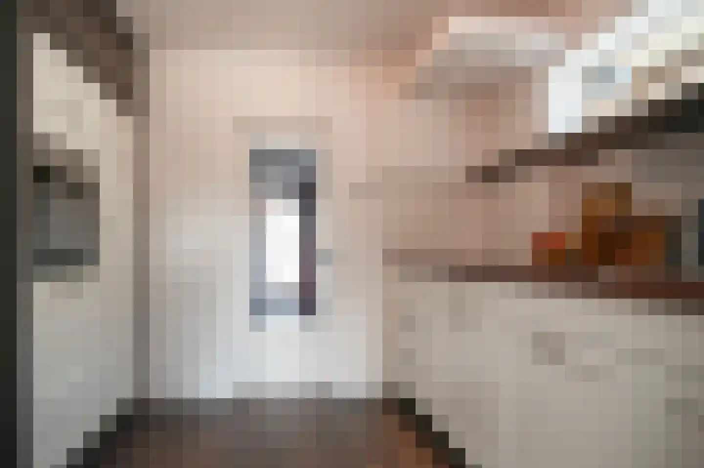 Krangstraat 33 Bruchem thumbnail 10