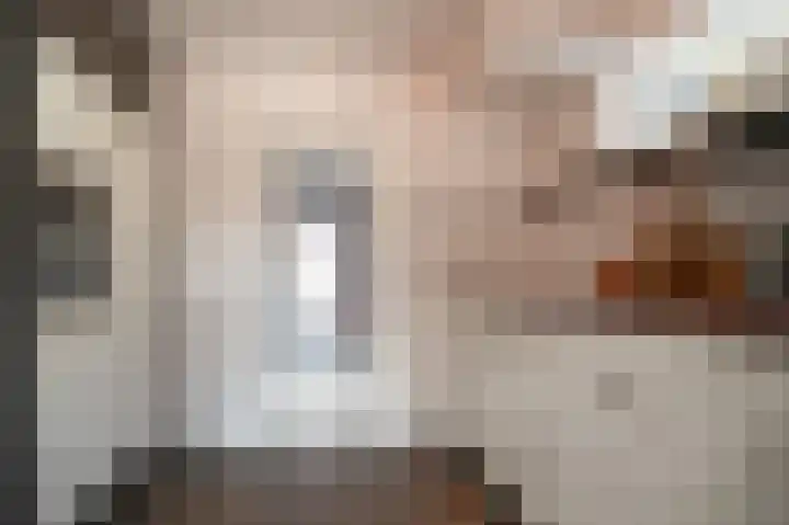 Krangstraat 33 Bruchem thumbnail 10
