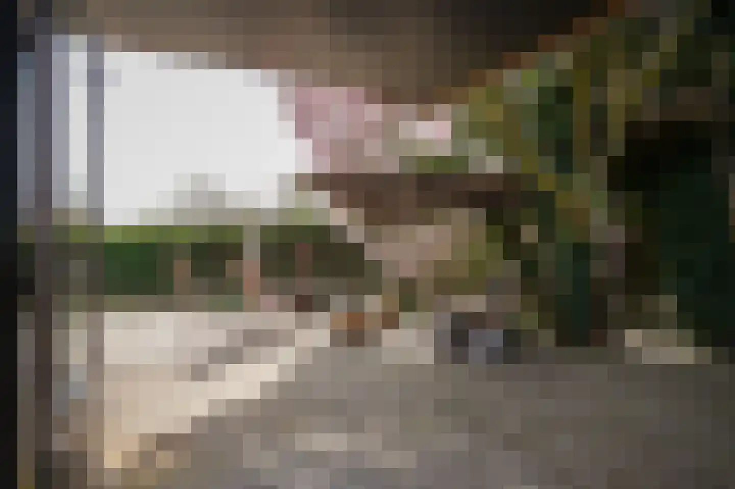 Krangstraat 33 Bruchem thumbnail 29