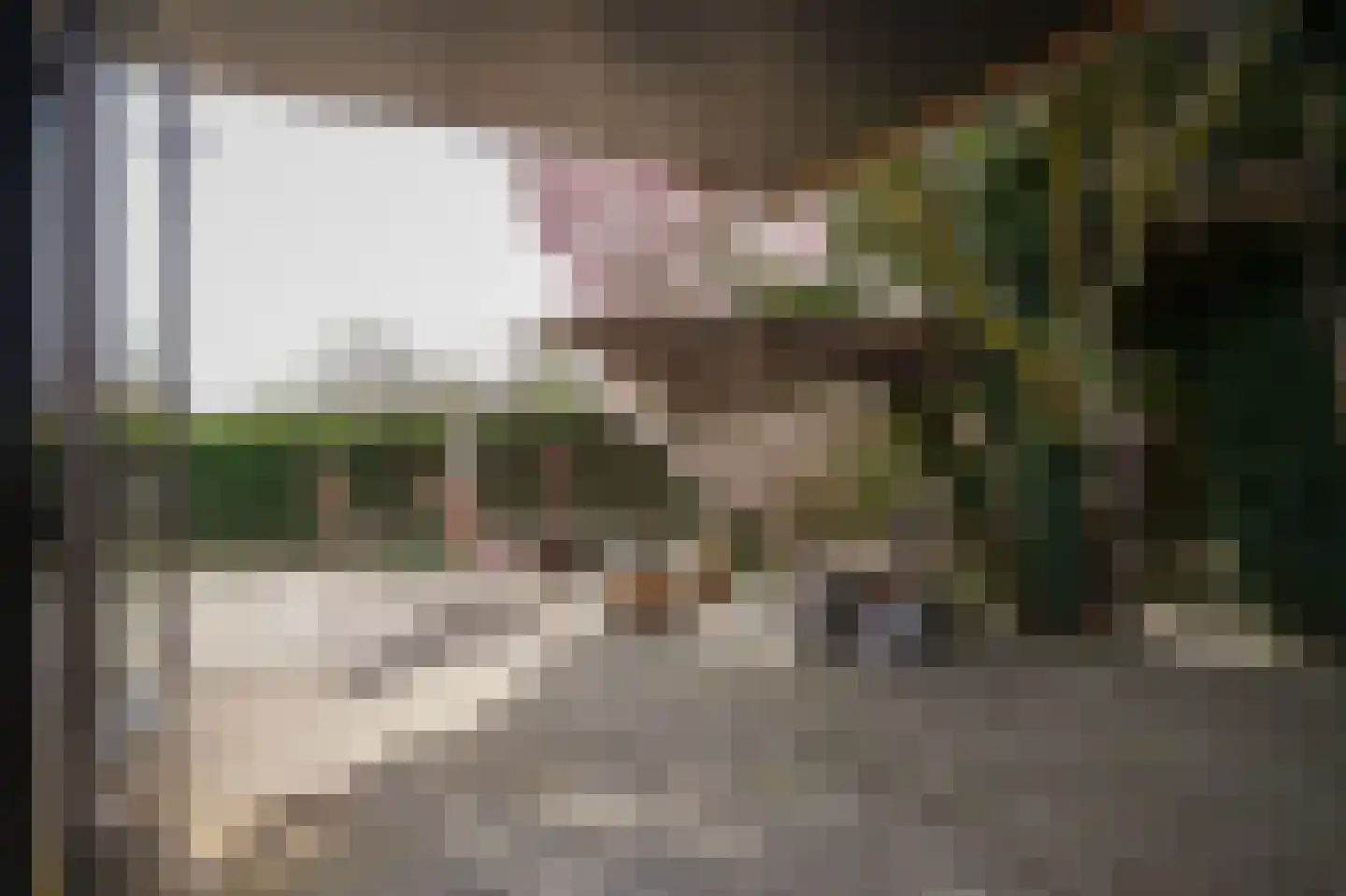 Krangstraat 33 Bruchem thumbnail 29