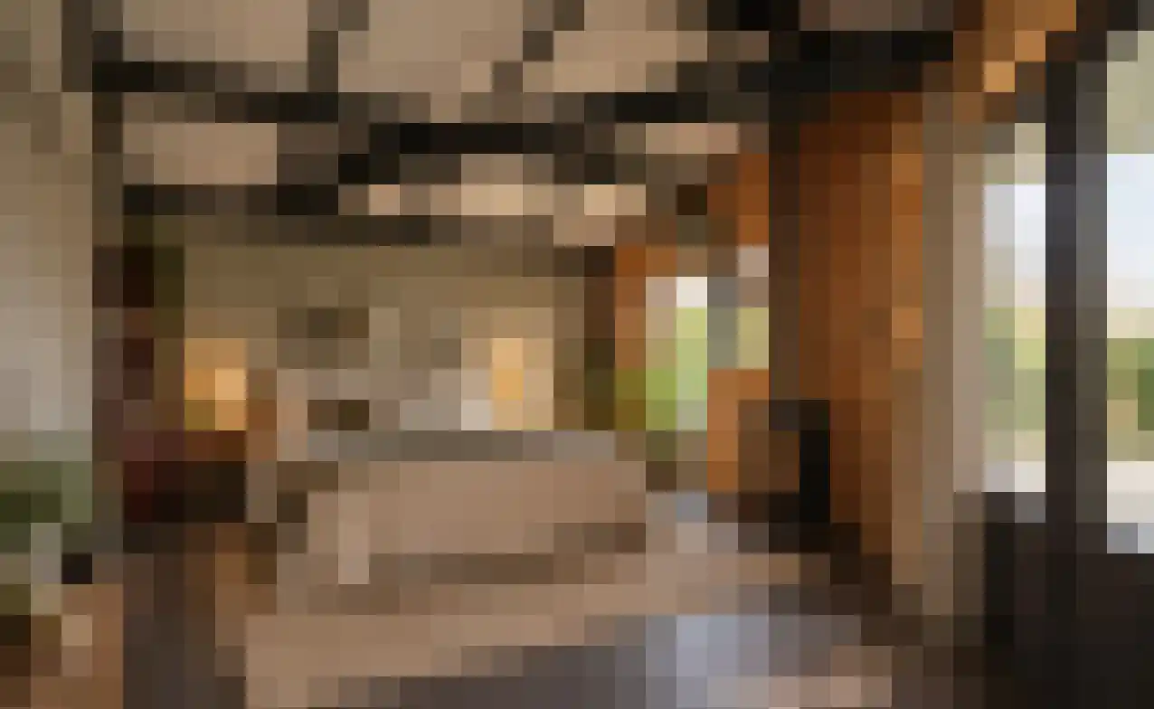 Krangstraat 33 Bruchem thumbnail 29