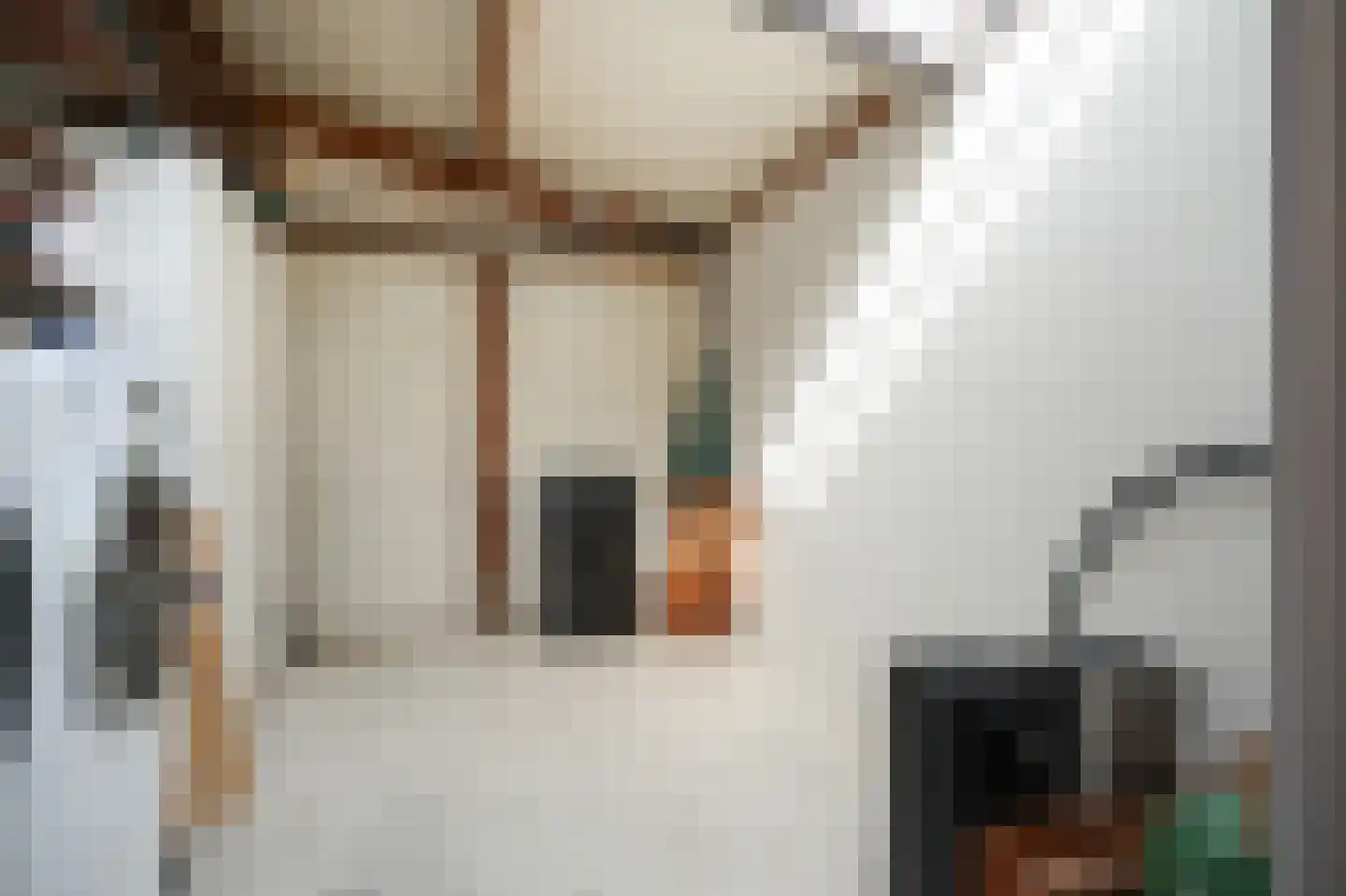Krangstraat 33 Bruchem thumbnail 31