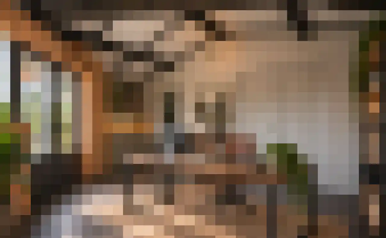 Krangstraat 33 Bruchem thumbnail 31