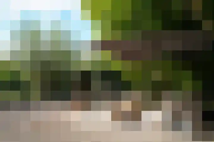 Krangstraat 33 Bruchem thumbnail 43