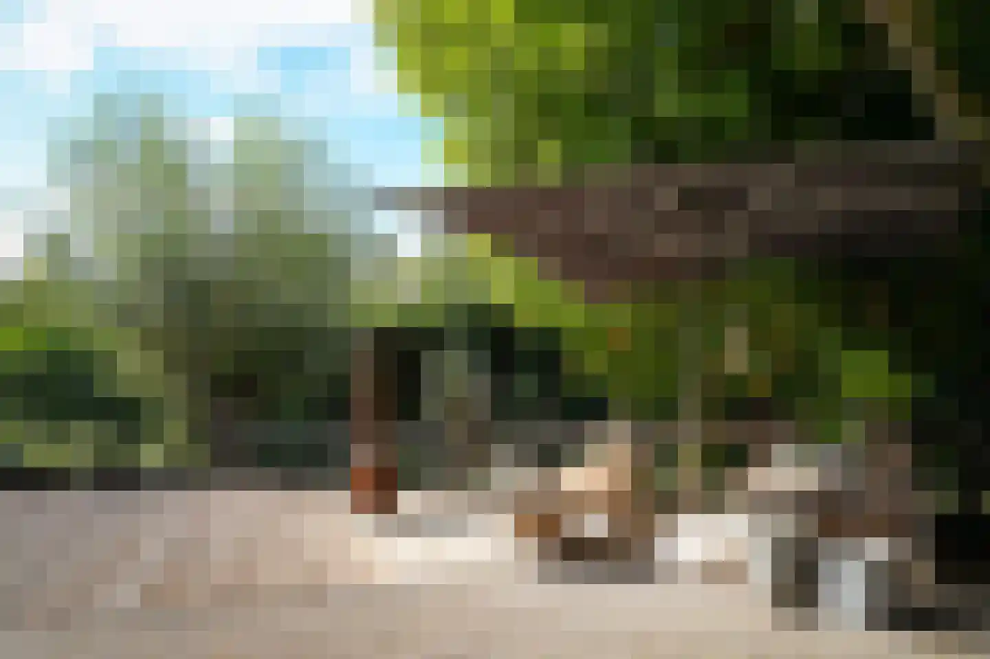 Krangstraat 33 Bruchem thumbnail 43