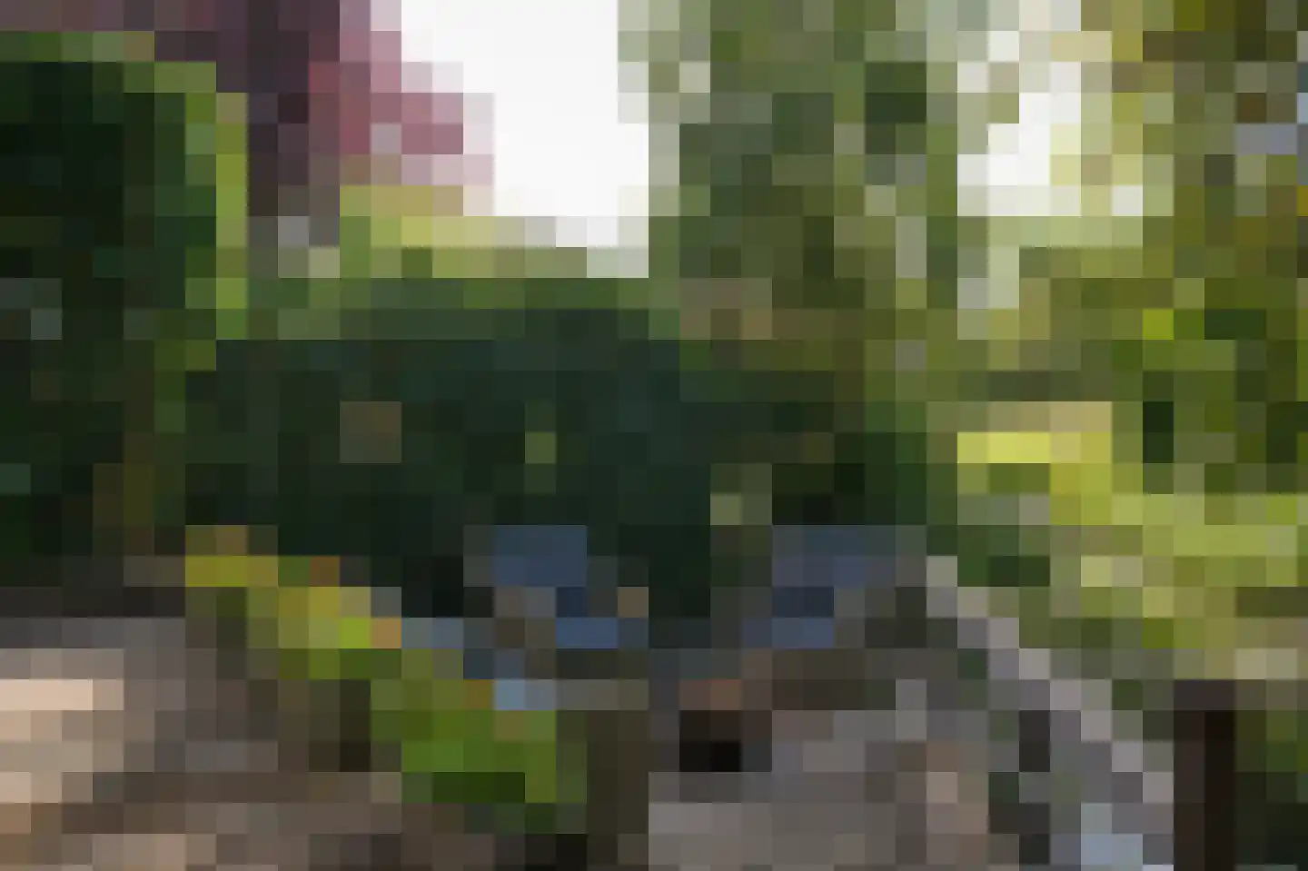 Krangstraat 33 Bruchem thumbnail 44
