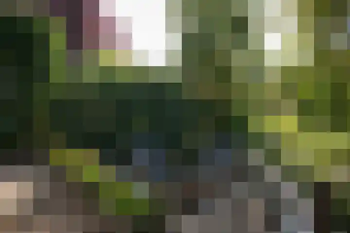 Krangstraat 33 Bruchem thumbnail 44