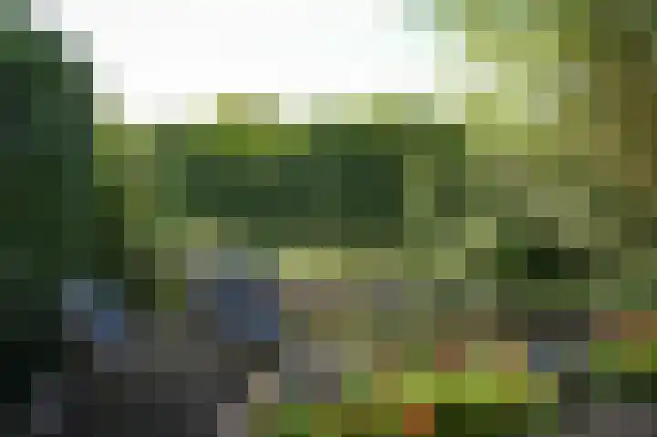 Krangstraat 33 Bruchem thumbnail 47