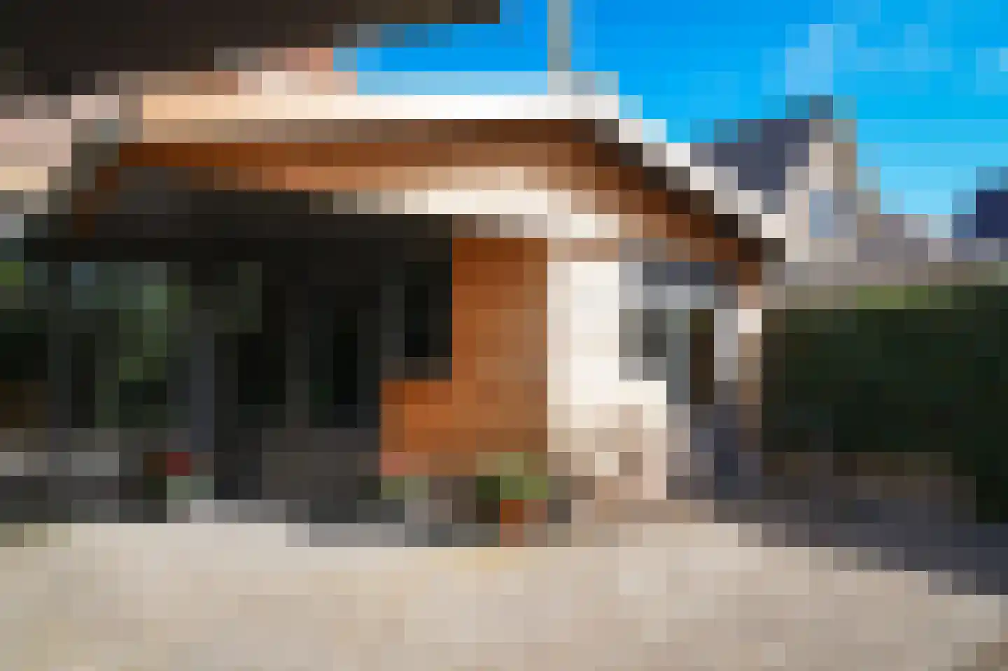 Krangstraat 33 Bruchem thumbnail 50