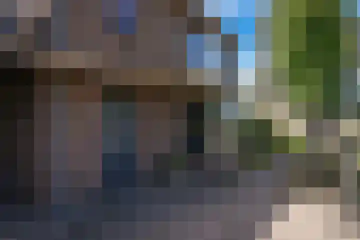 Krangstraat 33 Bruchem thumbnail 7