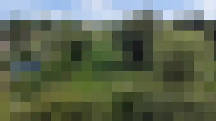 Krangstraat 9 Bruchem thumbnail 13