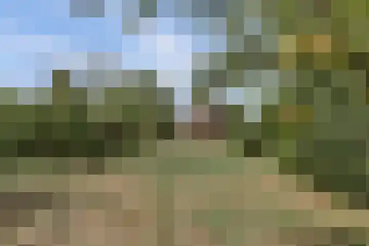 Krangstraat 9 Bruchem thumbnail 17