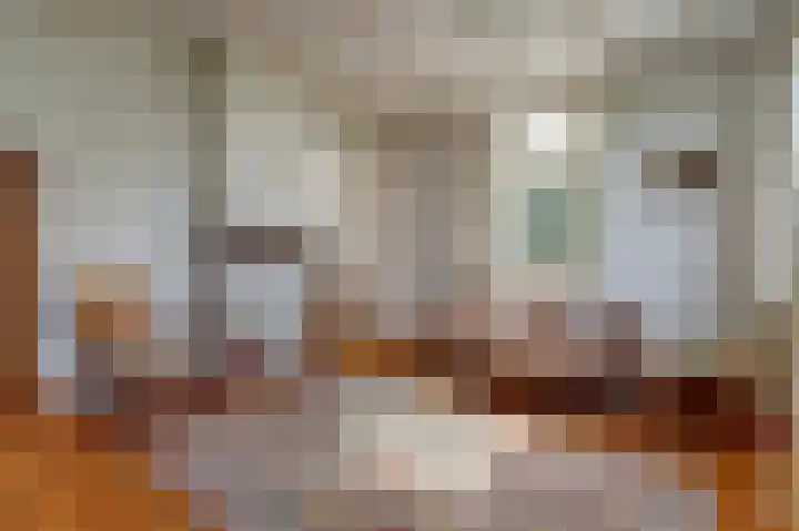 Krangstraat 9 Bruchem thumbnail 32