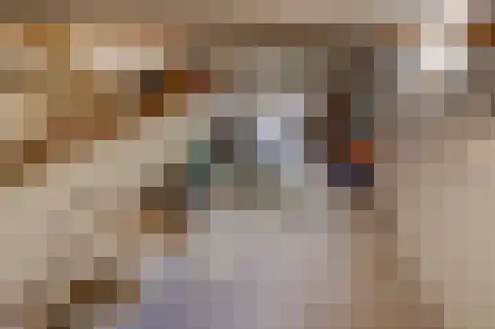 Krangstraat 9 Bruchem thumbnail 38