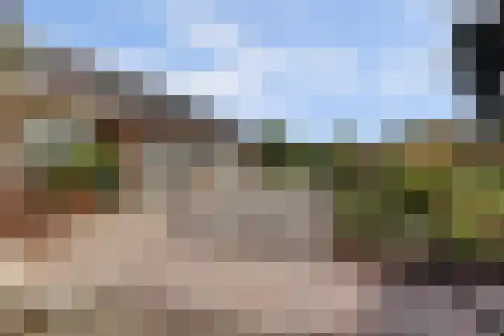 Krangstraat 9 Bruchem thumbnail 4