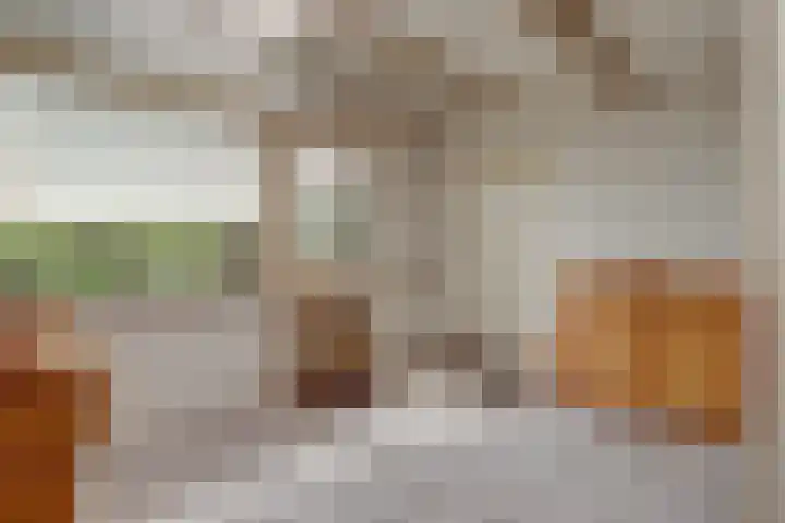 Krangstraat 9 Bruchem thumbnail 44